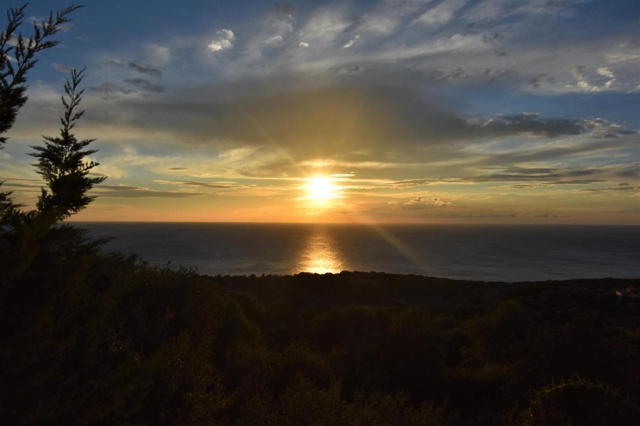 Dafnoudi Hotel Apartments Antipata  Dış mekan fotoğraf